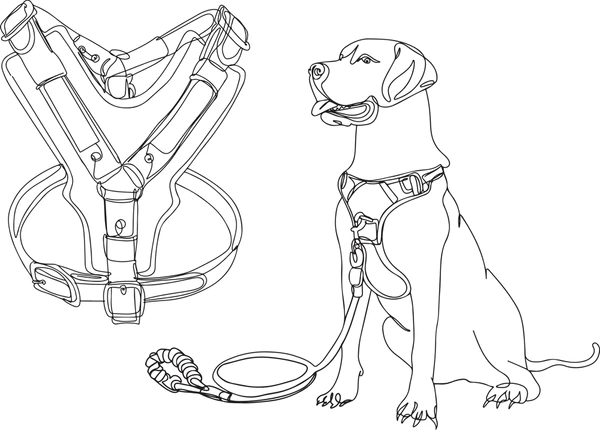 dog leash design